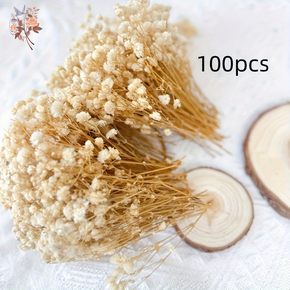 100 mini-fleurs séchées de gyp - Craft Embellishment avis et prix