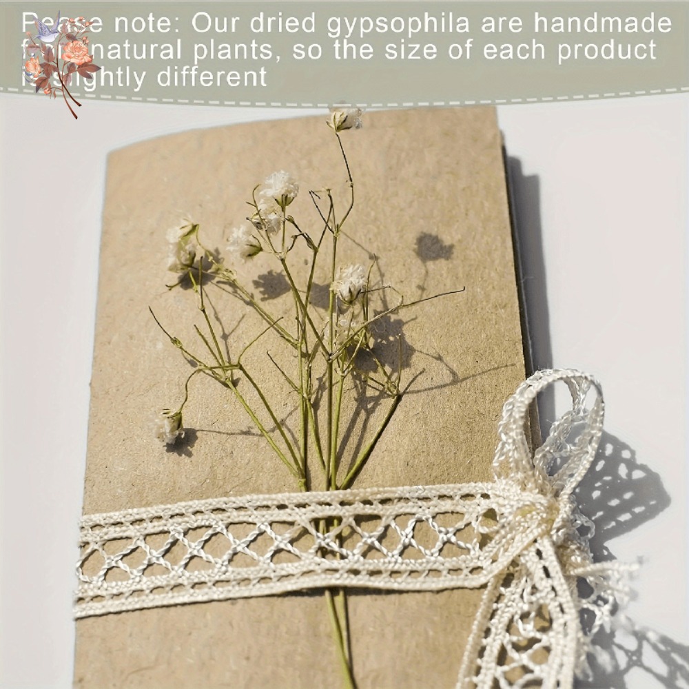 100 mini-fleurs séchées de gyp - Craft Embellishment avis et prix